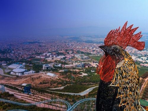 Denizli'ye Taşındıktan Sonra: Denizli'de Yaşamak